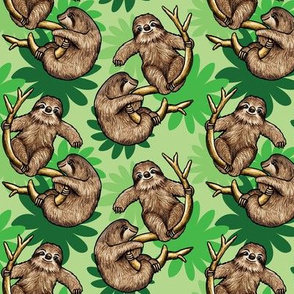 cute sloths and cecropia leaves 