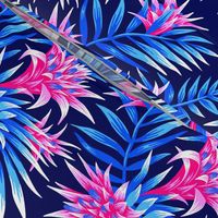 Fasciata Tropical - Mid Blue Pink