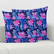 Fasciata Tropical - Mid Blue Pink