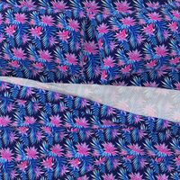 Fasciata Tropical - Mid Blue Pink