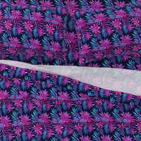 Fasciata Tropical - Dark Blue Pink