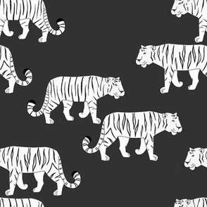 Tigers black/white