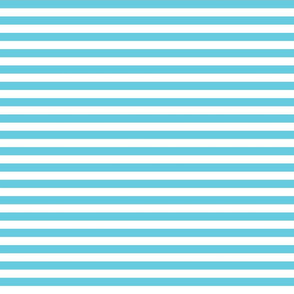 stripes robin egg blue