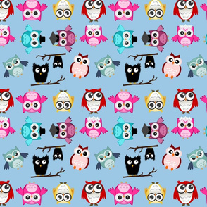 Crazy Owls