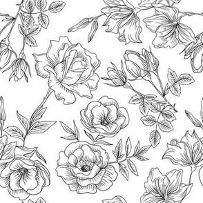 Black and White Vintage Rose Line Drawing