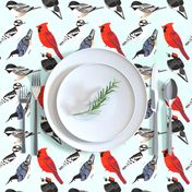 Songbirds and Woodpeckers