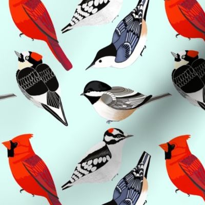 Songbirds and Woodpeckers