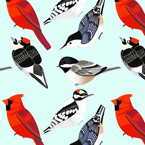 Songbirds and Woodpeckers