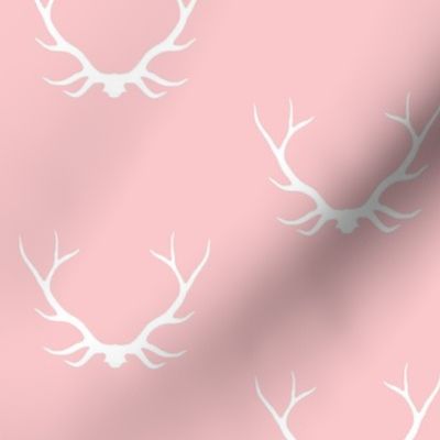Antlers- pink/white- deer buck baby girl nursery