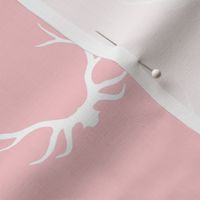 Antlers- pink/white- deer buck baby girl nursery