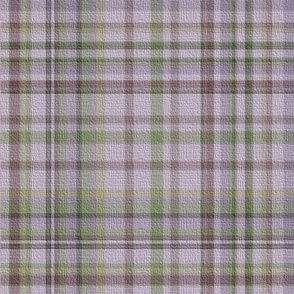 The Madness of Emily's Plaid