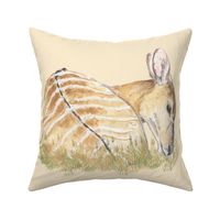 Nyala Antelope for Pillow