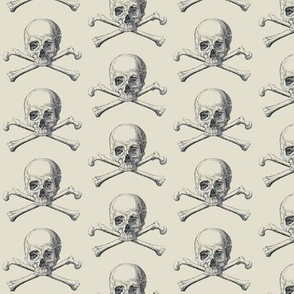 Skull and Cross Bones