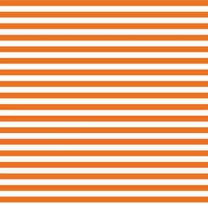 stripes carrot orange