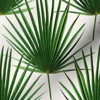 Simple Palm Leaf Geometry green and cream small print