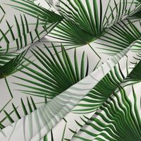 Simple Palm Leaf Geometry green and cream large print