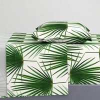 Simple Palm Leaf Geometry green and cream large print