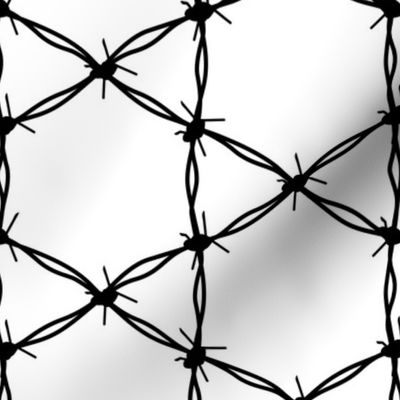 Barbed Wire Geometric