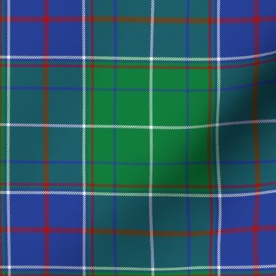 Tennessee official state tartan, 6" bright