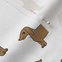 doxie //  cute dog pet dog  dachshund wiener dog weiner dog sweet pet dog adorable sausage dog fabric