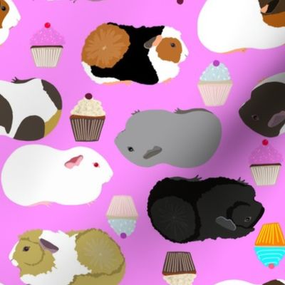 Guinea Pigs and Cupcakes