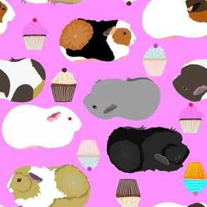 Guinea Pigs and Cupcakes