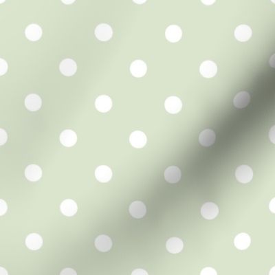 Chloe Dot basil