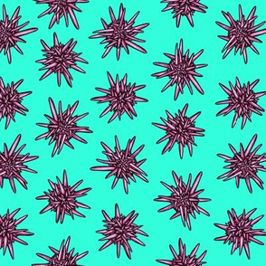 pink urchins aquamarine