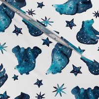 galaxybears-pattern