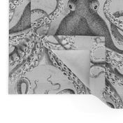 Octopus Vintage Scientific Illustration-Ernst Haeckel Style 