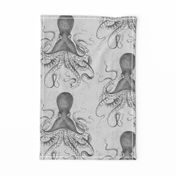 Octopus Vintage Scientific Illustration-Ernst Haeckel Style 