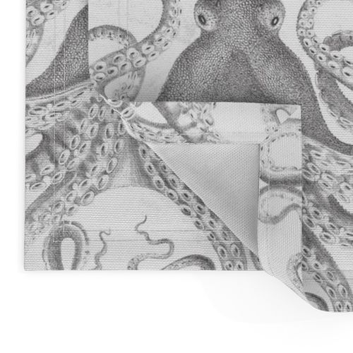 Octopus Vintage Scientific Illustration-Ernst Haeckel Style 