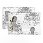 Octopus Vintage Scientific Illustration-Ernst Haeckel Style 