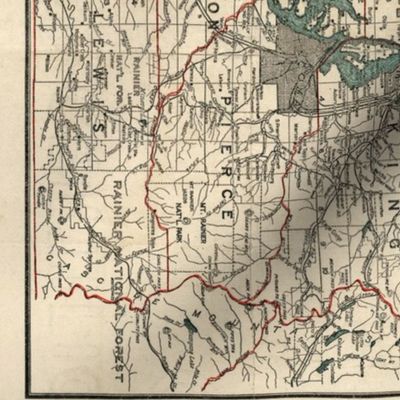 Washington State Vintage map