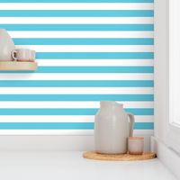 wide stripes robins egg blue