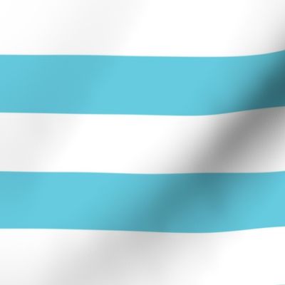 wide stripes robins egg blue