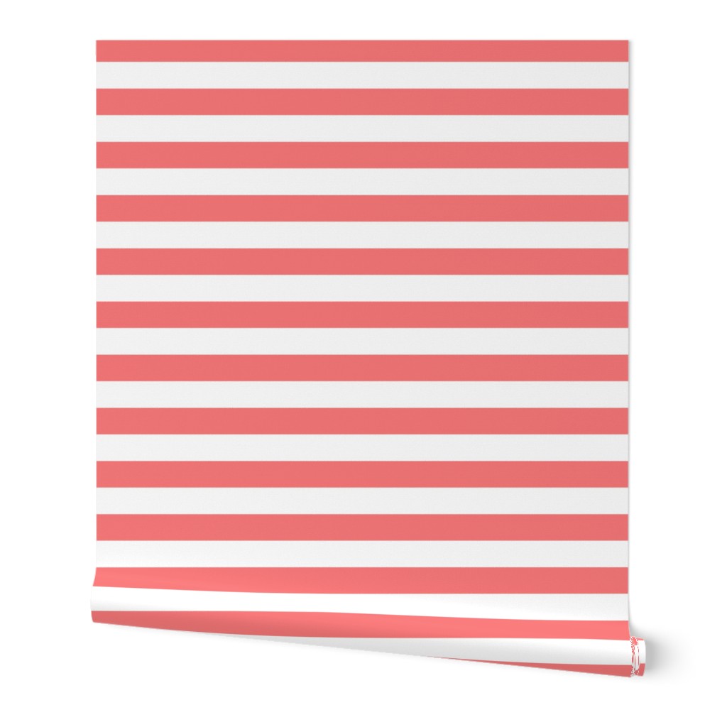 wide stripes coral