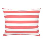 wide stripes coral