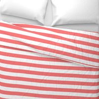 wide stripes coral