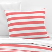 wide stripes coral