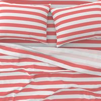 wide stripes coral