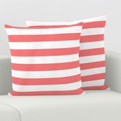 wide stripes coral