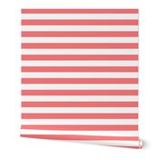 wide stripes coral