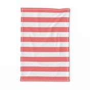 wide stripes coral