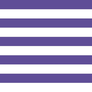 wide stripes indigo purple