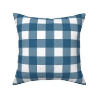 brushed wide gingham denim blue