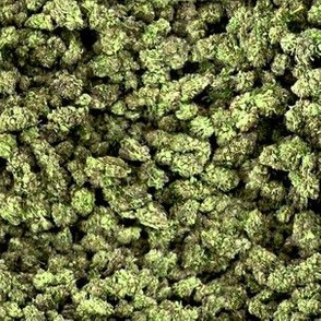 Cannabis: Greens
