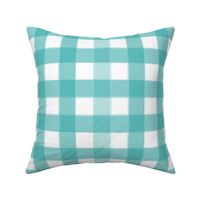 brushed wide gingham  