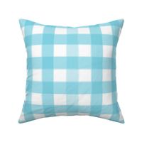 brushed wide gingham robin egg blue