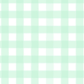 brushed wide gingham mint green